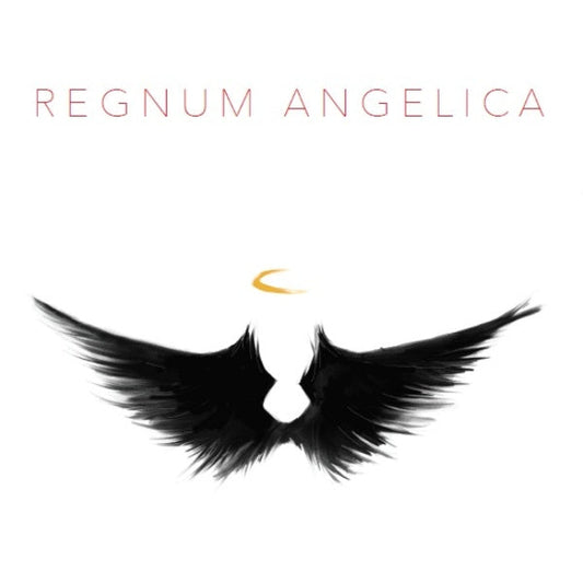 Image du jeu Regnum Angelica