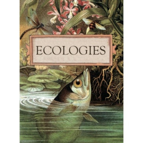 Image du jeu Ecologies