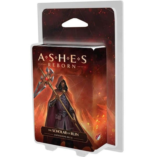 Image du jeu Ashes Reborn: The Scholar of Ruin
