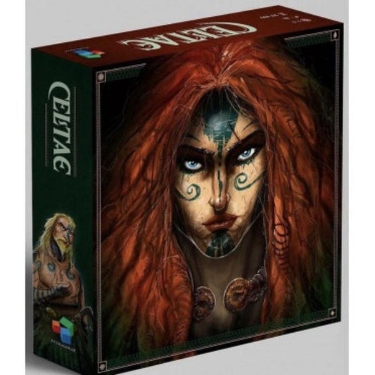 Image du jeu Celtae